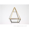 Super Large Shape Hanging Glass Plant Terrarium Geometric